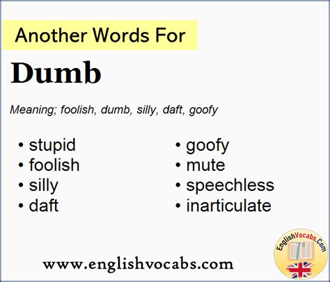 another word for dumb|What is another word for dumb .